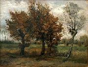 Vincent Van Gogh Autumn landscape with four trees France oil painting artist